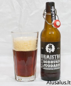 Burmistro sodrusis